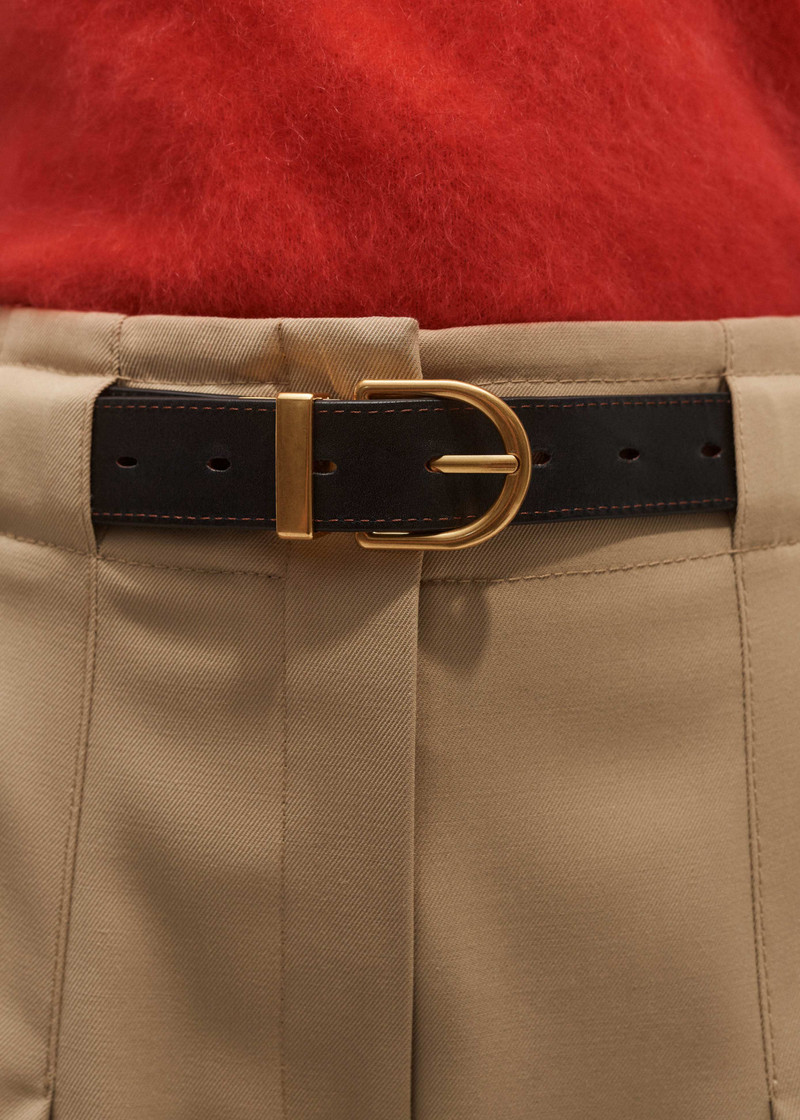 Reversible Belt 3