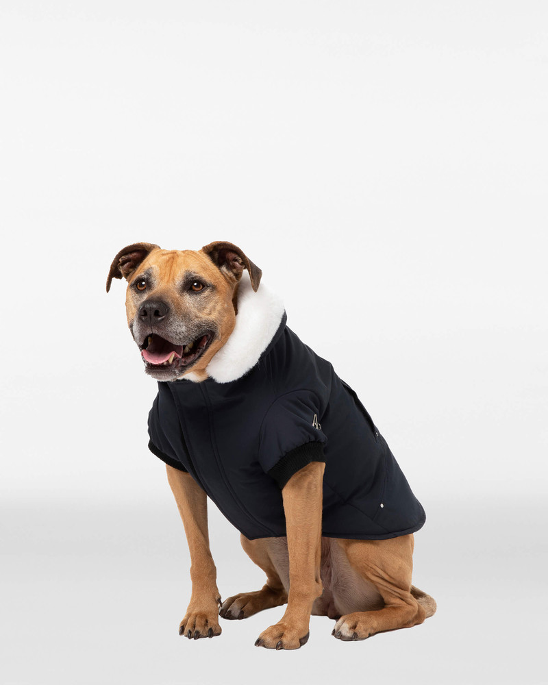 POOCH PARKA 1