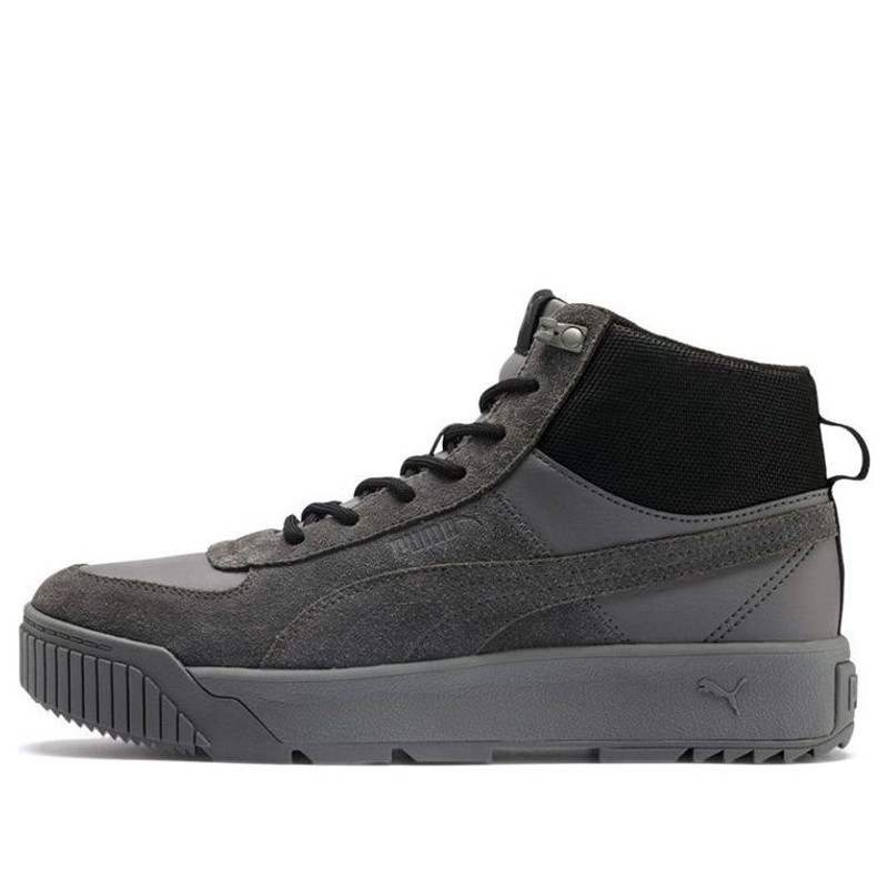PUMA Tarrenz SB Sneakers Grey 370551-03 - 1