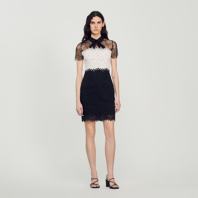 Sandro TWO-TONE LACE DRESS outlook