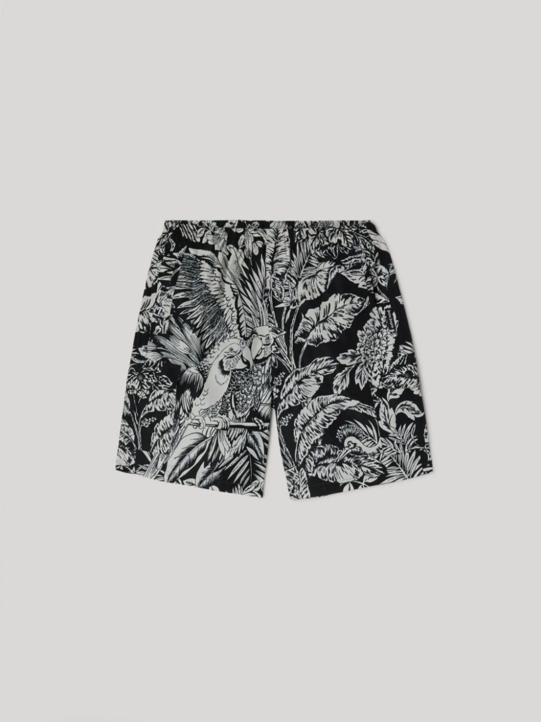 jungle parrots swim shorts - 1