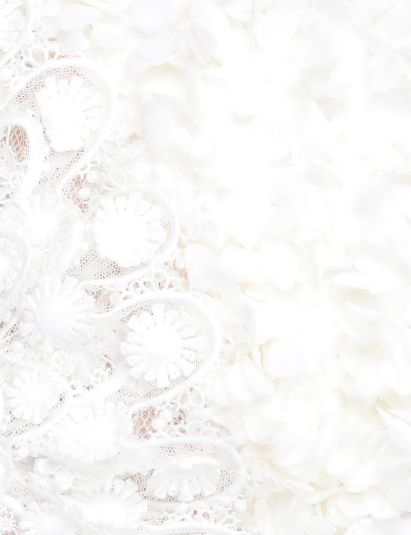 WONDERLAND LACE FRILL BODICE 6