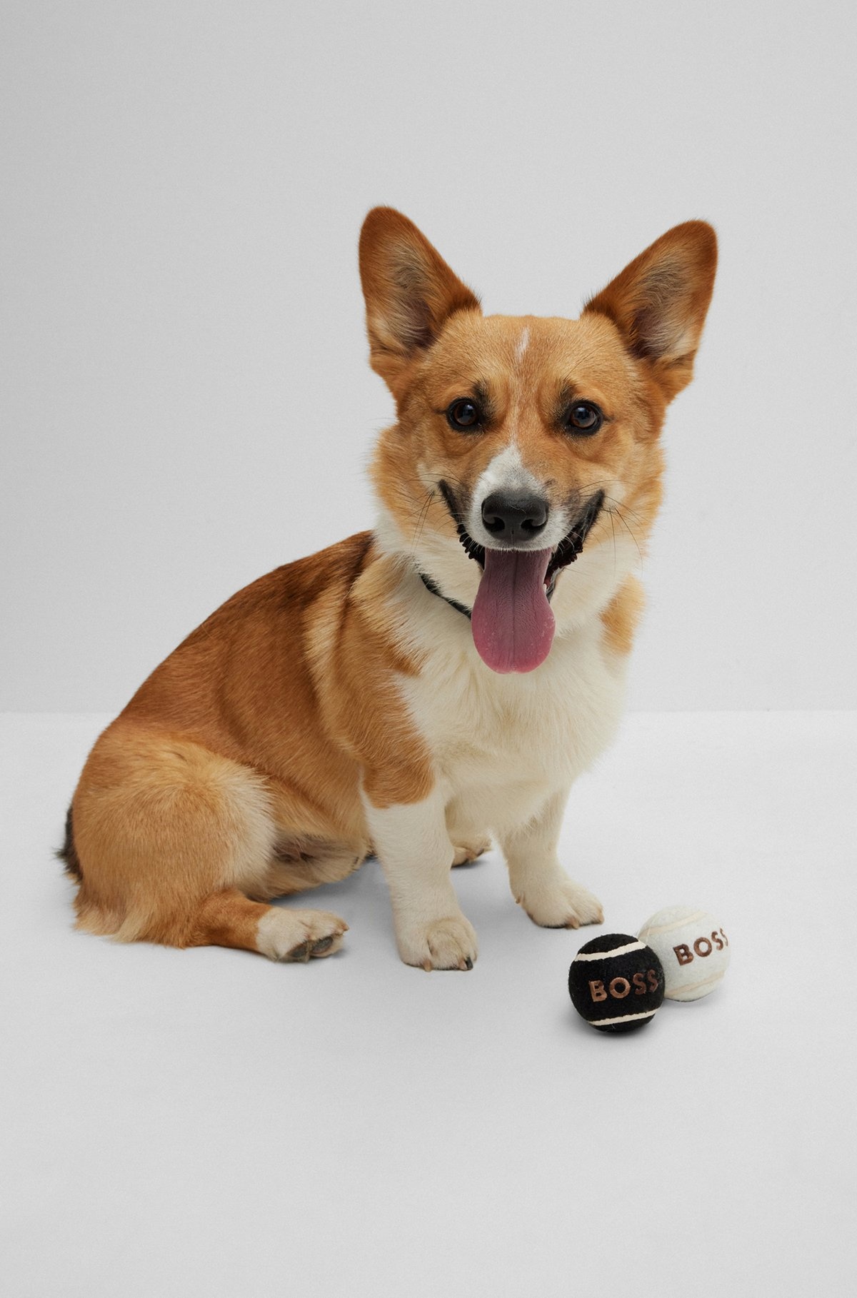 DOG BALL SET - 2