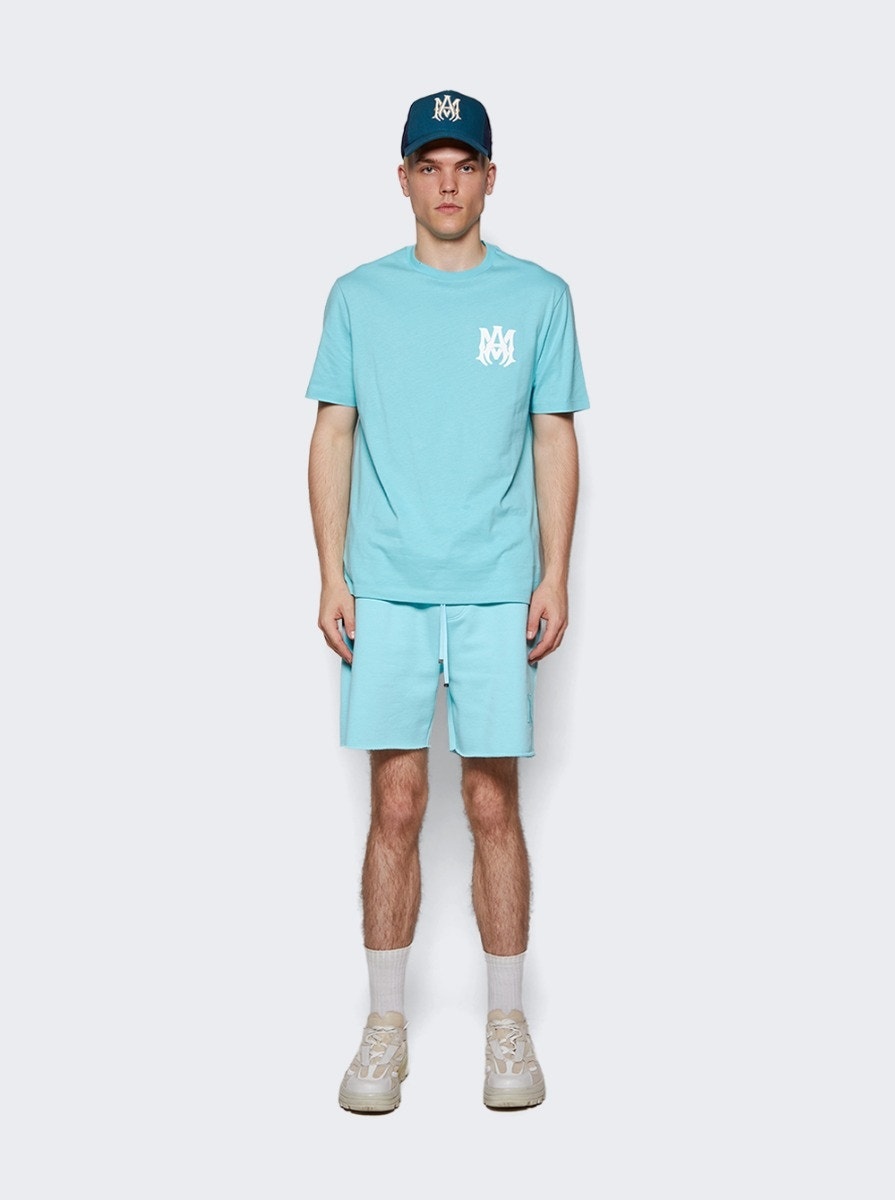 Tonal MA Sweatshort Aqua - 2