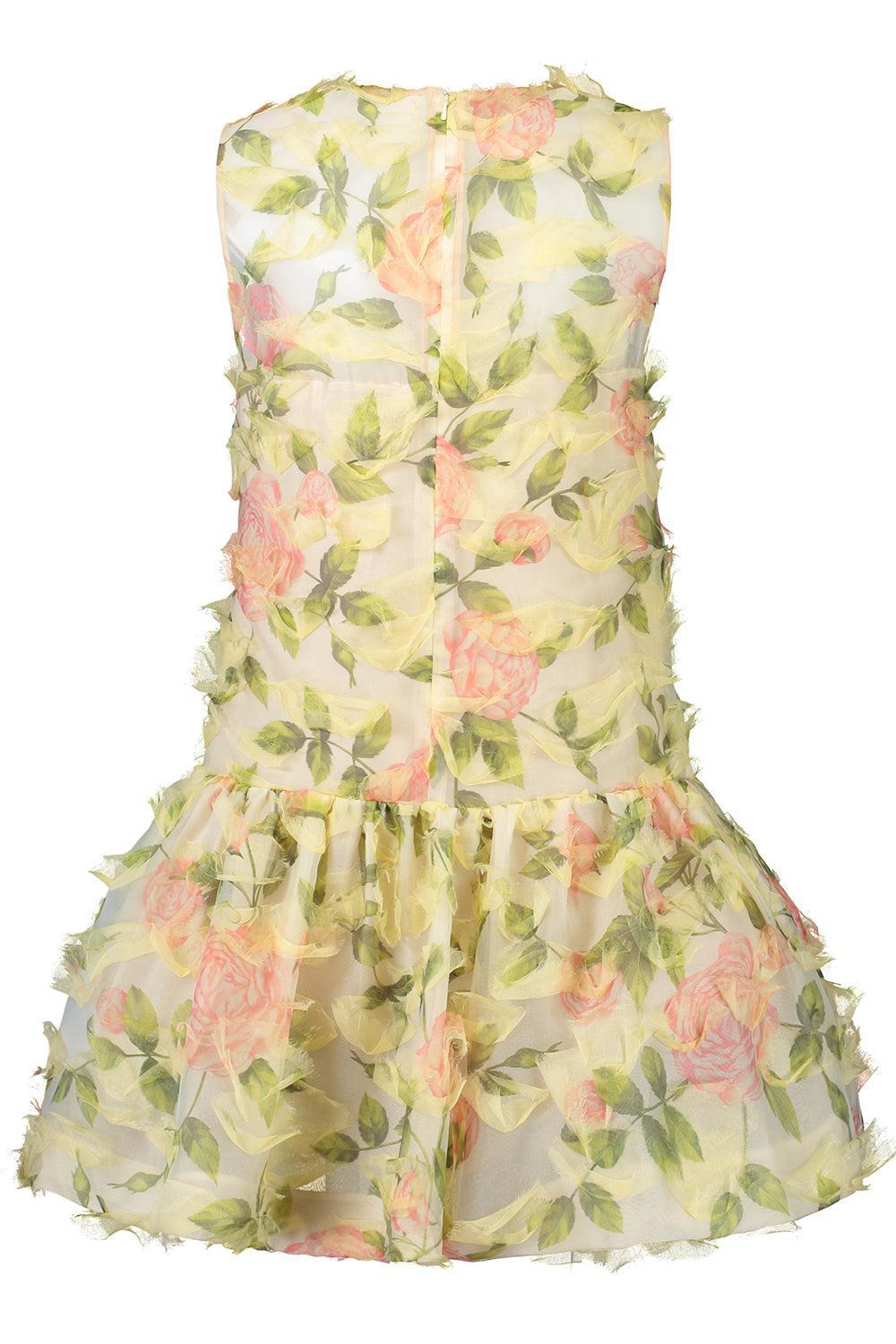Sleeveless English Rose Dress - 6