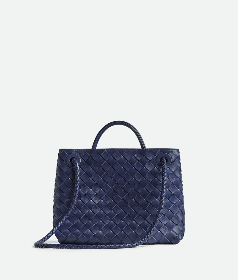 Bottega Veneta Small Andiamo outlook