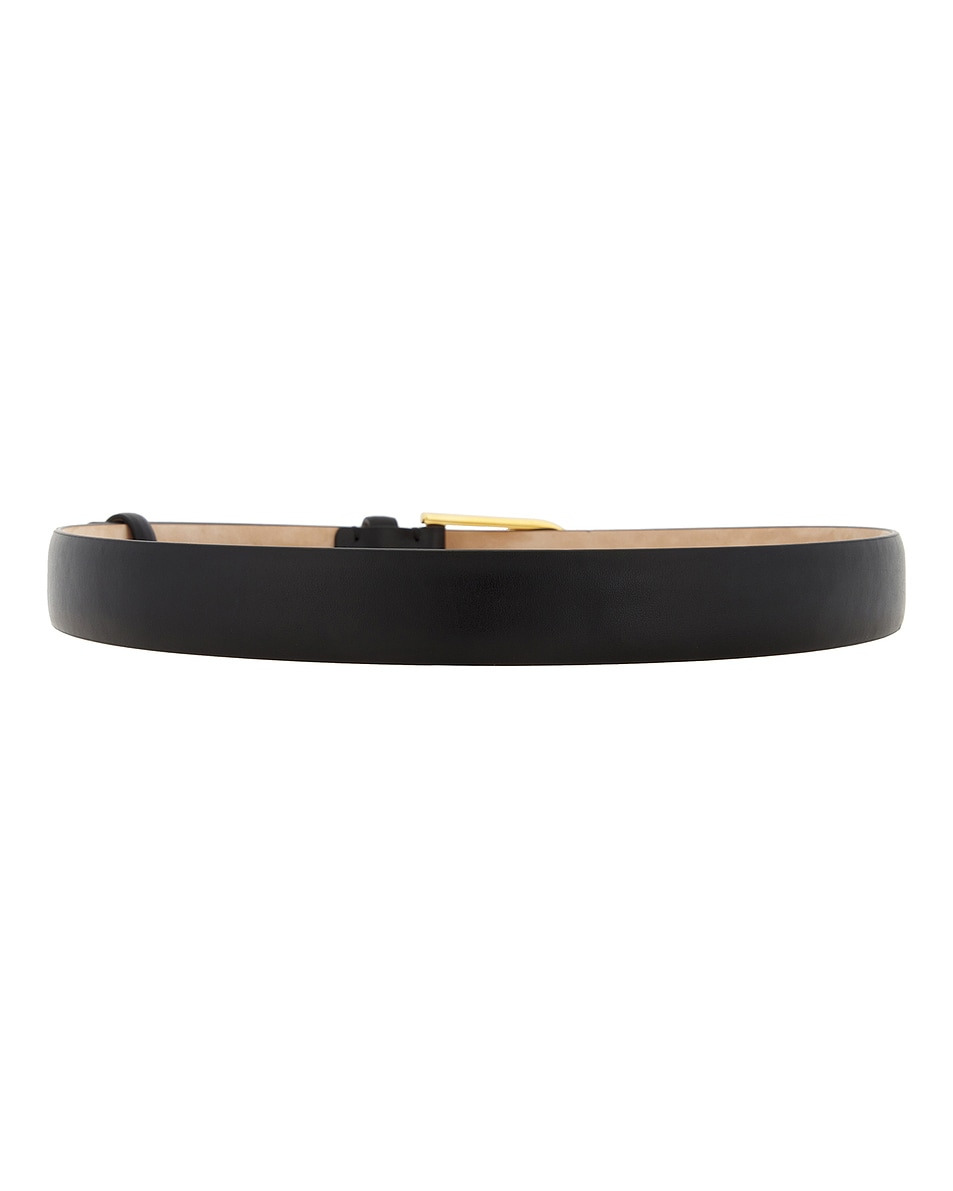 Dome 25mm Belt - 2