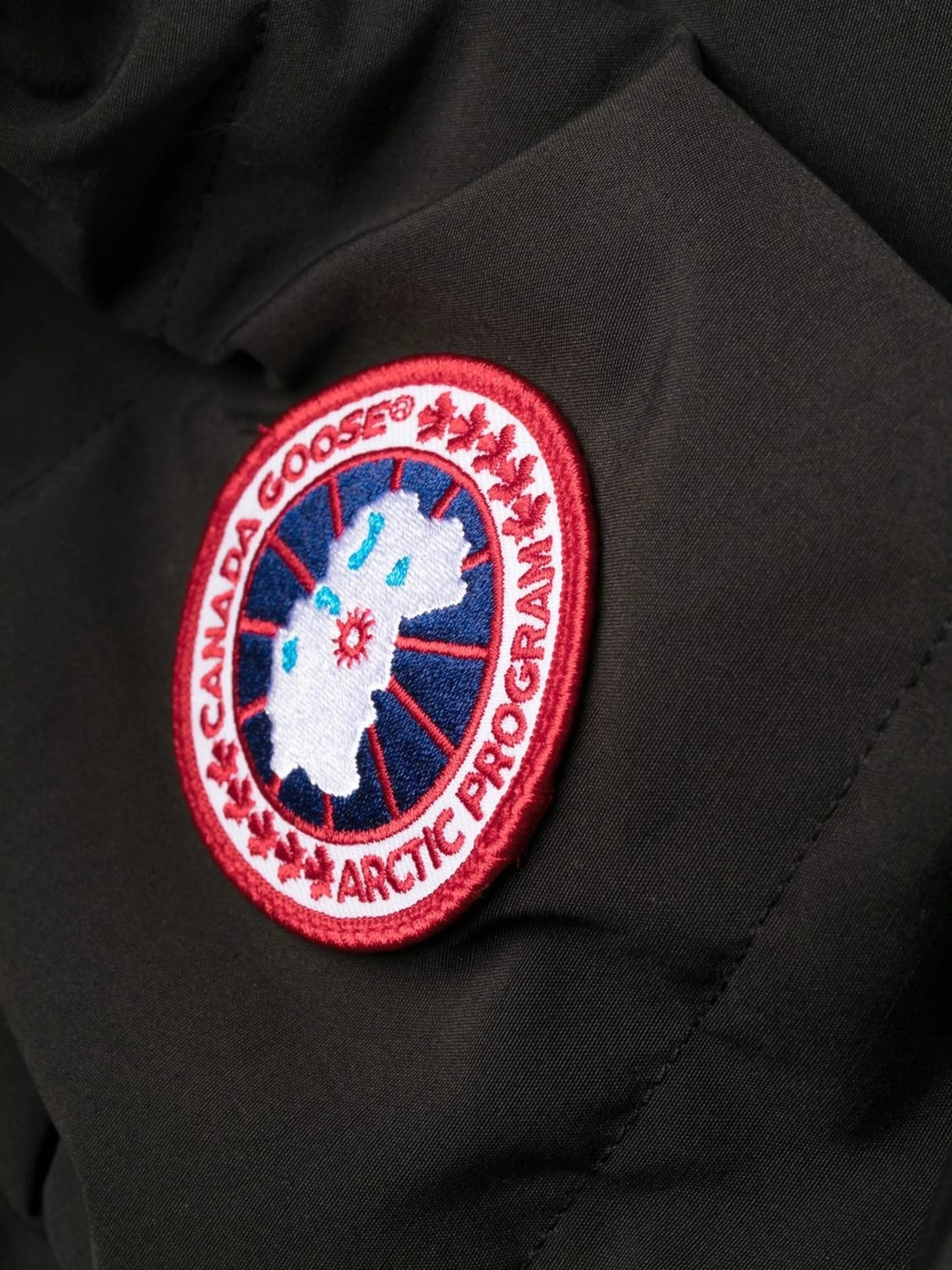 Canada Goose Chelsea Parka - 3