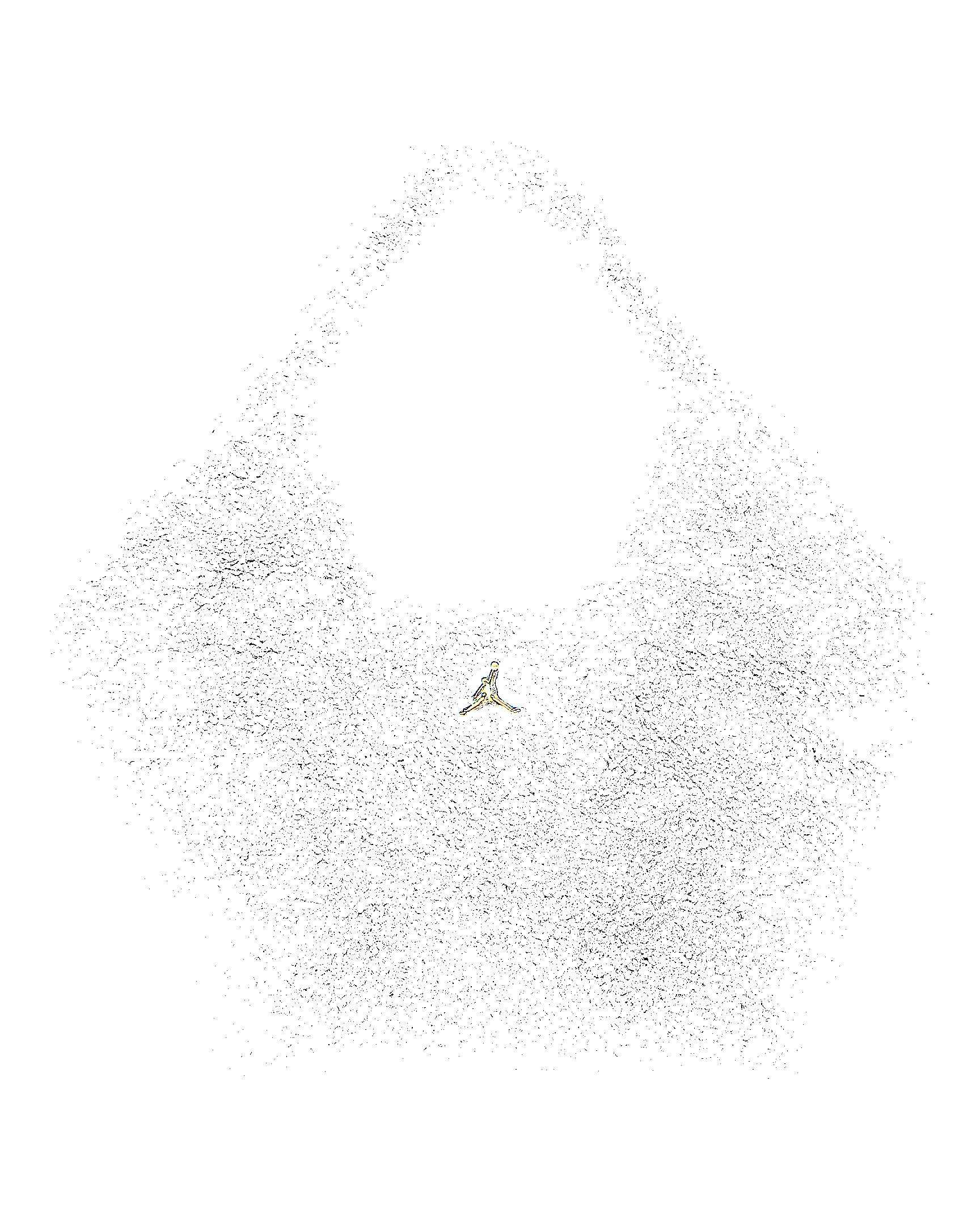 Jordan Monarch High-Pile Tote (17L) - 1