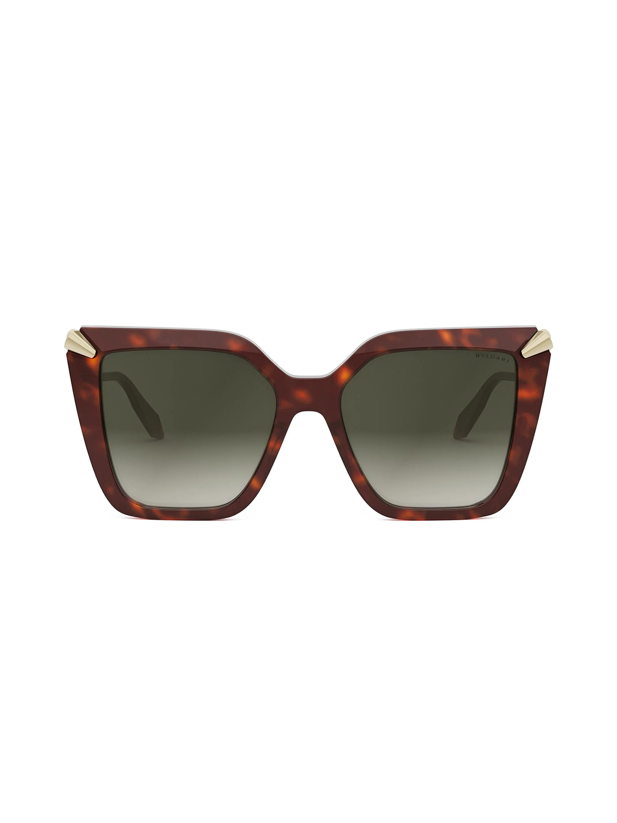 Women's Serpenti 55MM Butterfly Sunglasses - Red Havana Gradient Brown - 1