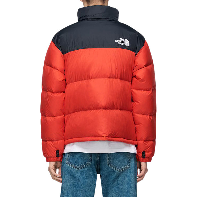 THE NORTH FACE 1996 Retro Nuptse 700 NF0A3C8D15Q - 6