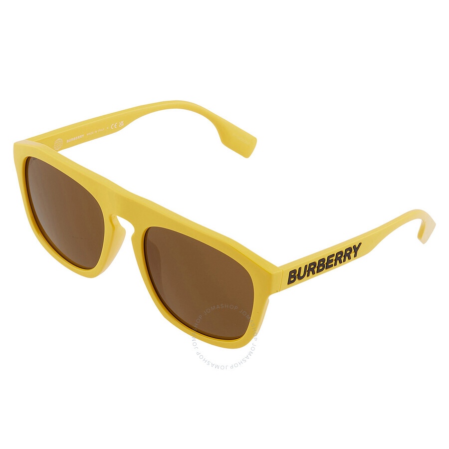 Burberry Wren Brown Browline Men's Sunglasses BE4396U 407073 57 - 3