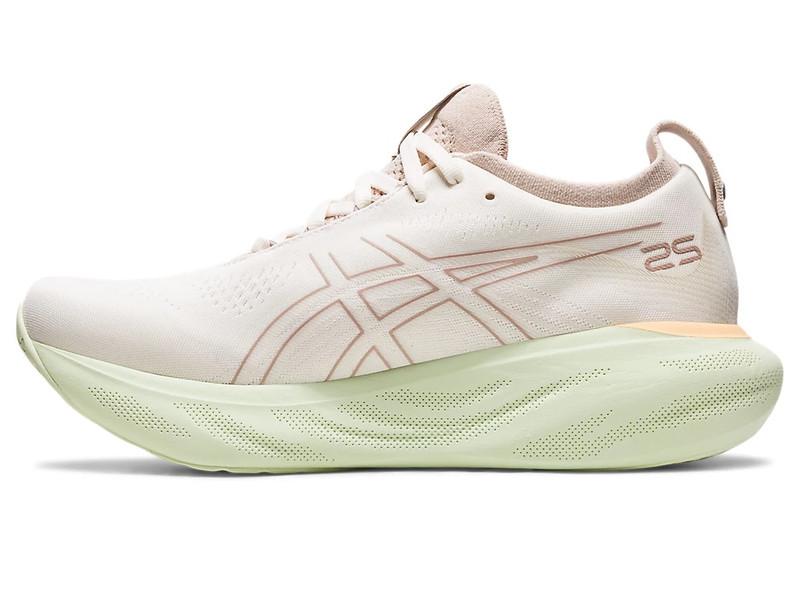 Asics GEL-NIMBUS 25 outlook
