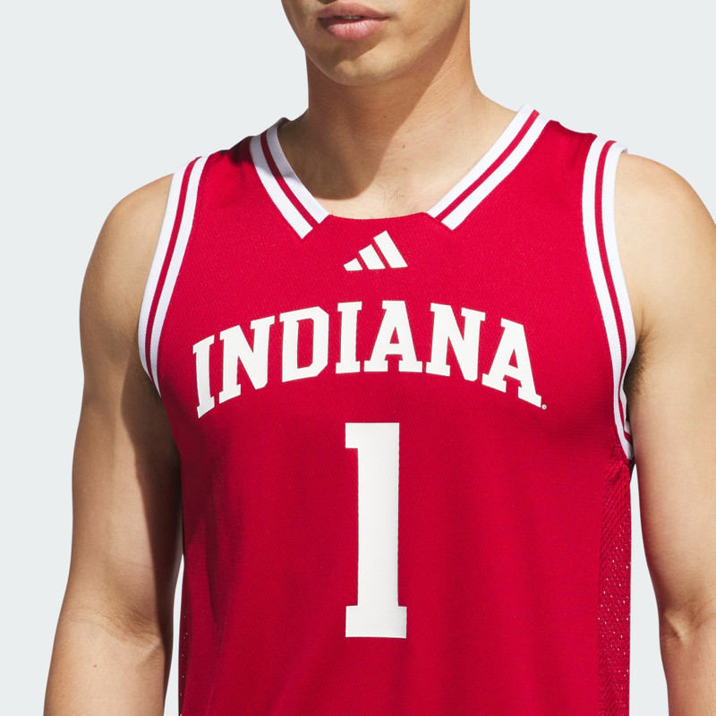 Indiana Hoosiers Away Swingman Jersey 5