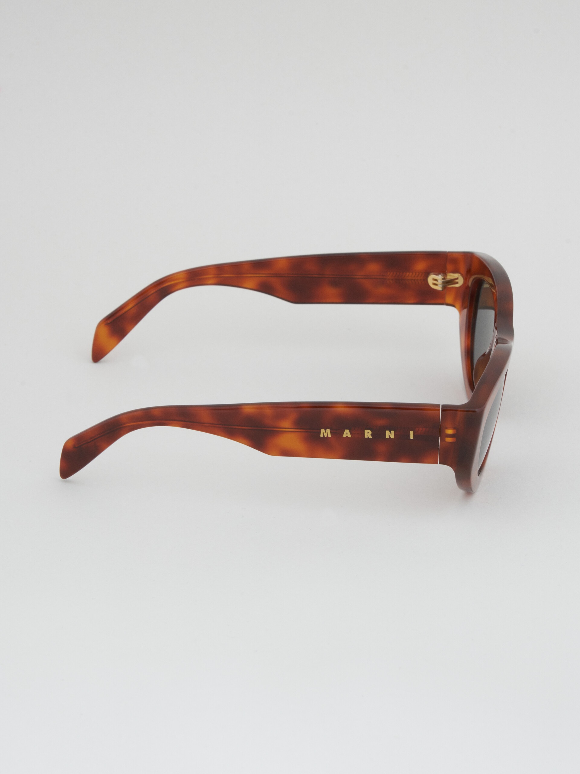 TORTOISESHELL ACETATE RAINBOW MOUNTAINS SUNGLASSES - 3