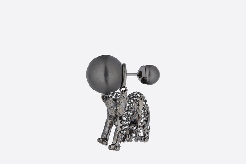 Dior Dior Tribales Earring outlook