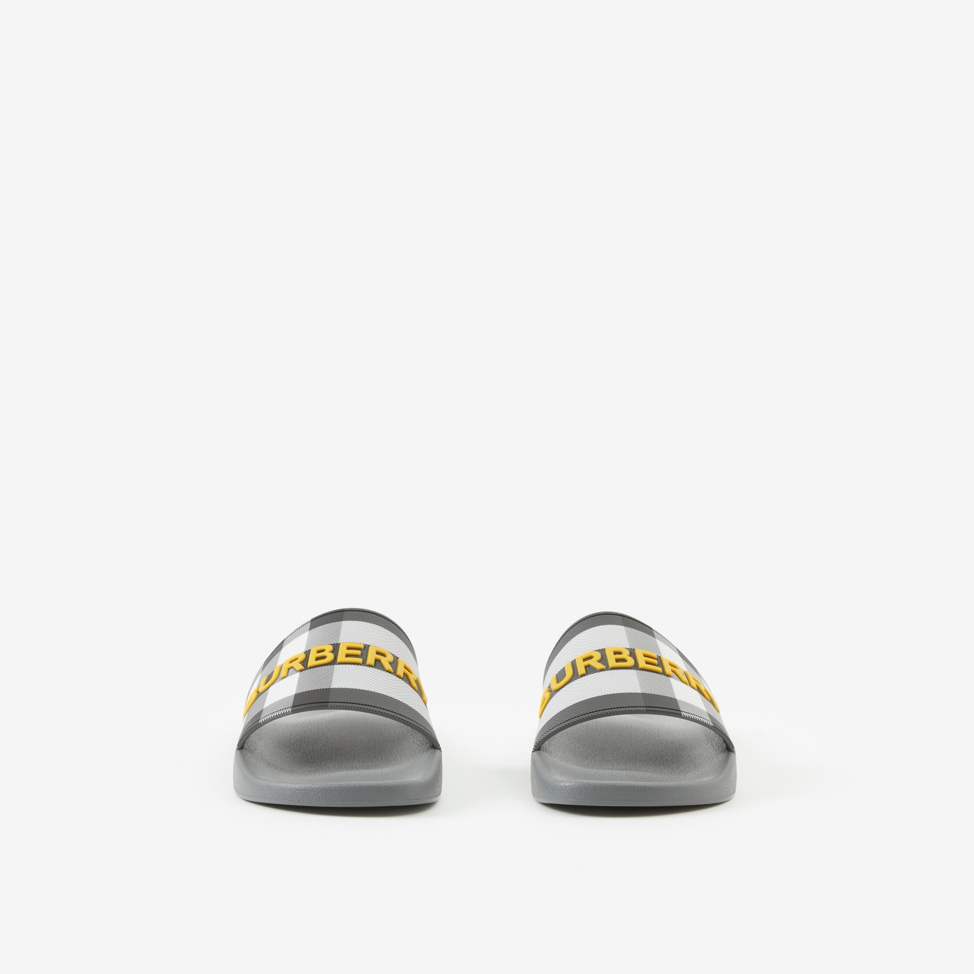Logo Detail Check Slides - 2