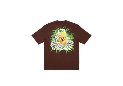PALACE BAKED P-3 T-SHIRT NICE BROWN outlook