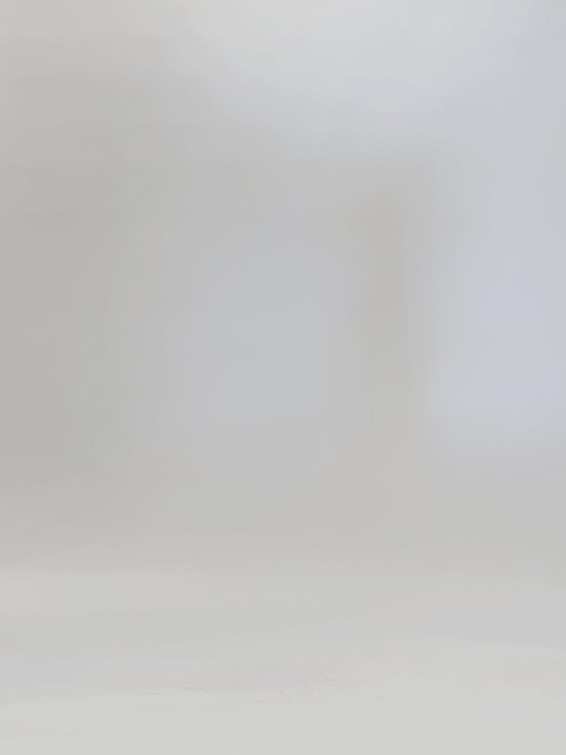 Zion Top in Linen Viscose 7