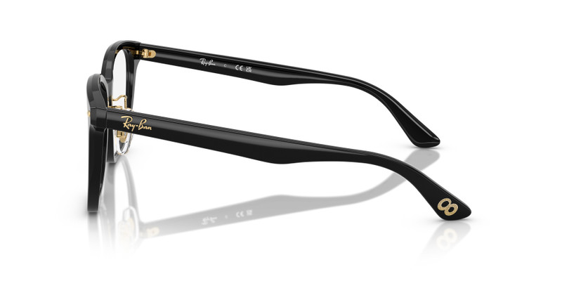 RB5425D OPTICS YEAR OF THE SNAKE EDITION 6