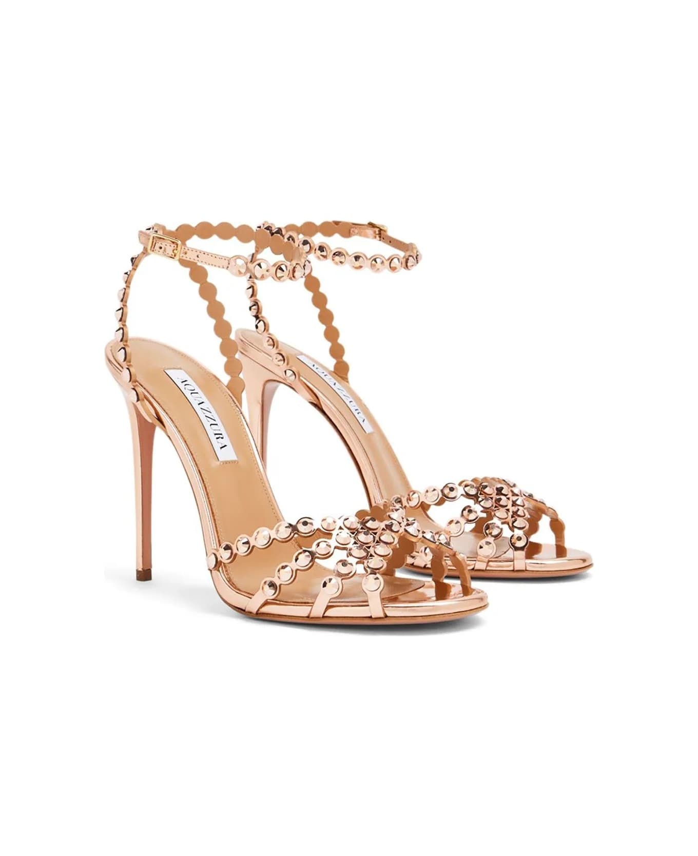 Shies With Heel - 2