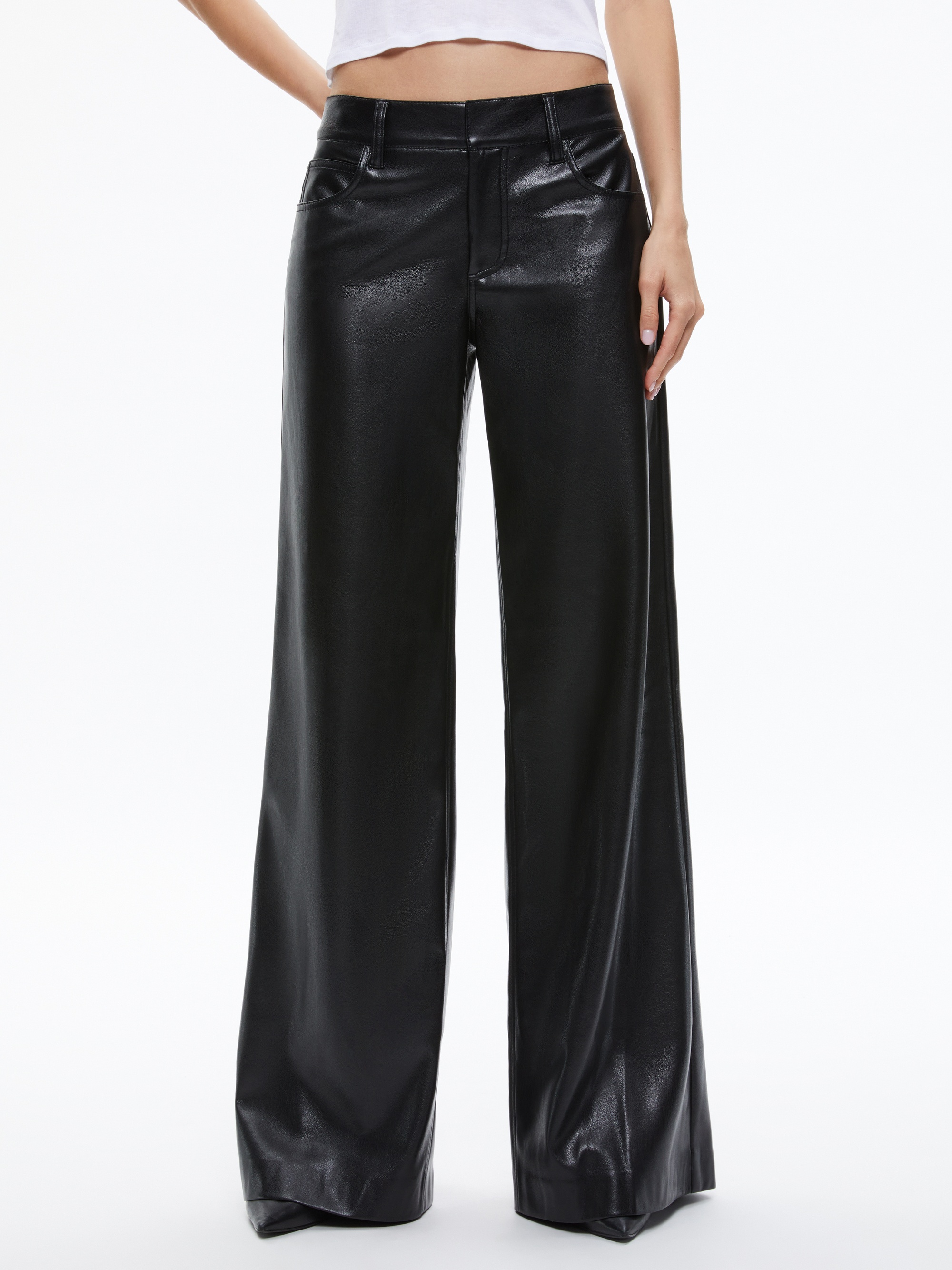 TRISH VEGAN LEATHER WIDE LEG PANT - 2