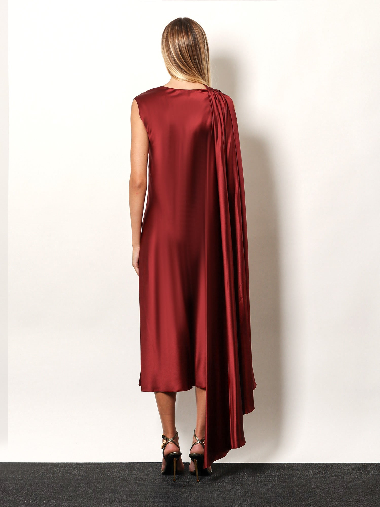 Edolo Silk Dress - 4