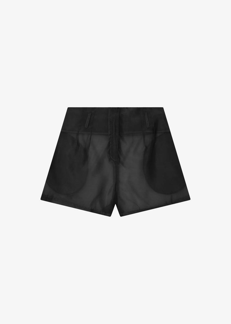 Lise Sheer Shorts - Black 11