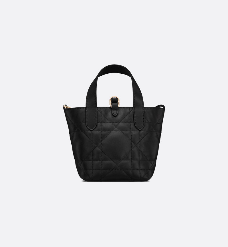 Dior Toujours Vertical Nano Tote Bag 5