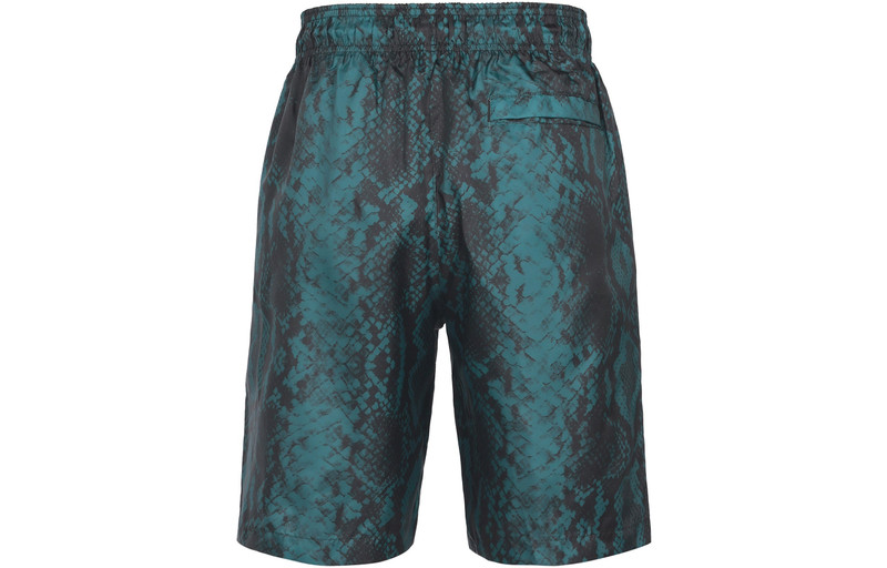 Jordan Air Jordan 11 Snakeskin Snake Skin Shorts For Men Blue/Black CI0313-414 outlook