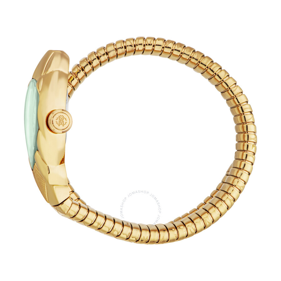 Roberto Cavalli Fiaba Green Dial Ladies Watch RC5L110M0045 - 3
