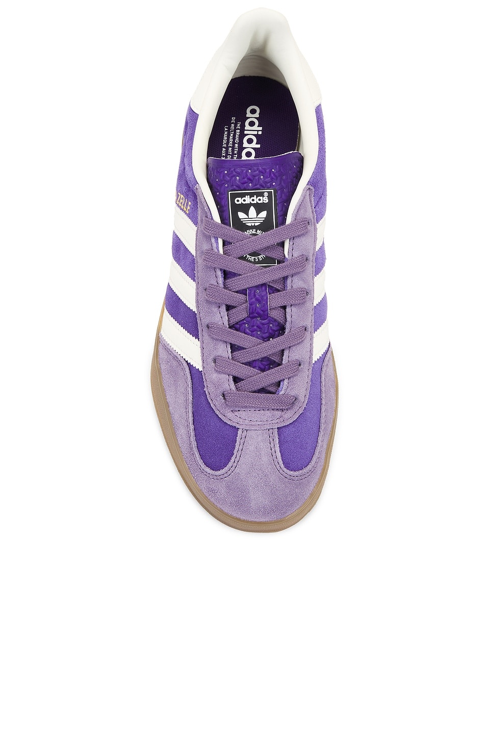 Gazelle Indoor - 4