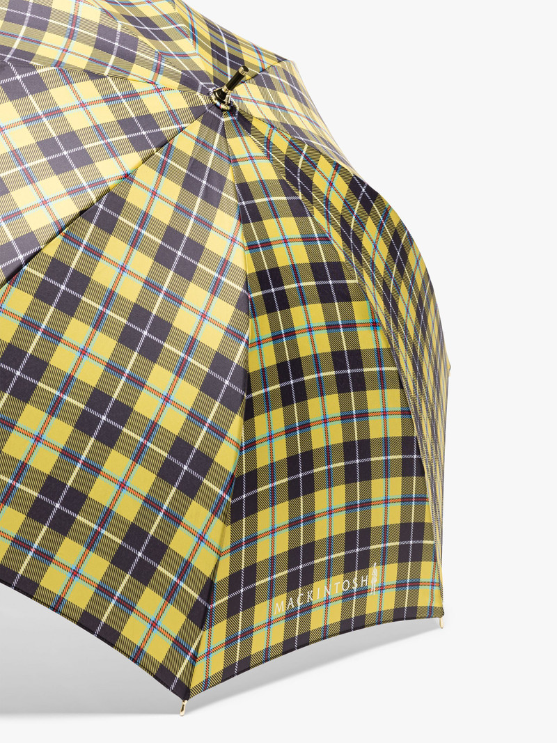 Mackintosh HERIOT CORNISH NATIONAL WHANGEE HANDLE STICK UMBRELLA outlook
