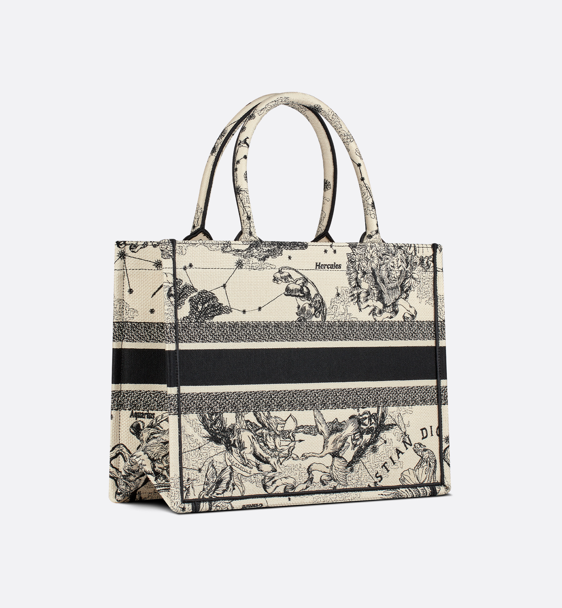 Medium Dior Book Tote - 5