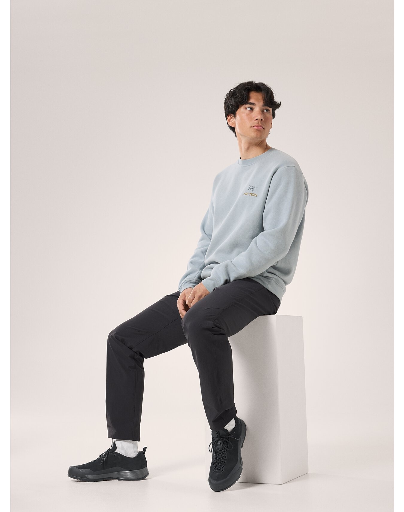 Arc'teryx Emblem Fleece Crew Neck Pullover | REVERSIBLE