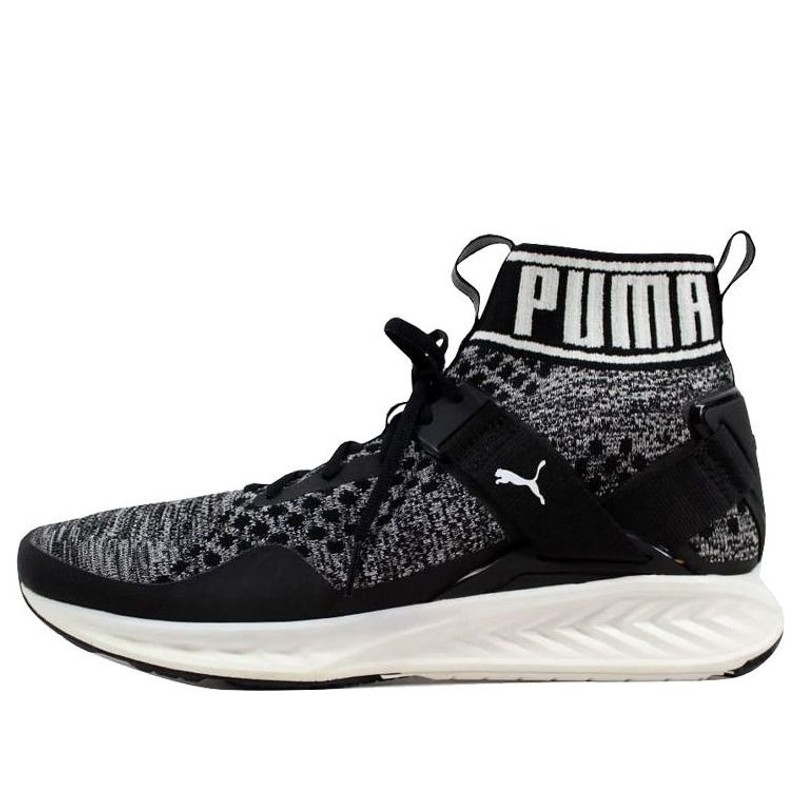 Puma Ignite EvoKnit Black/Quiet Shade-White - 1