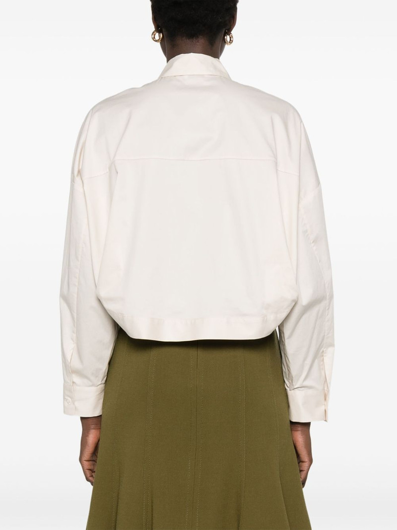cropped shirt 4