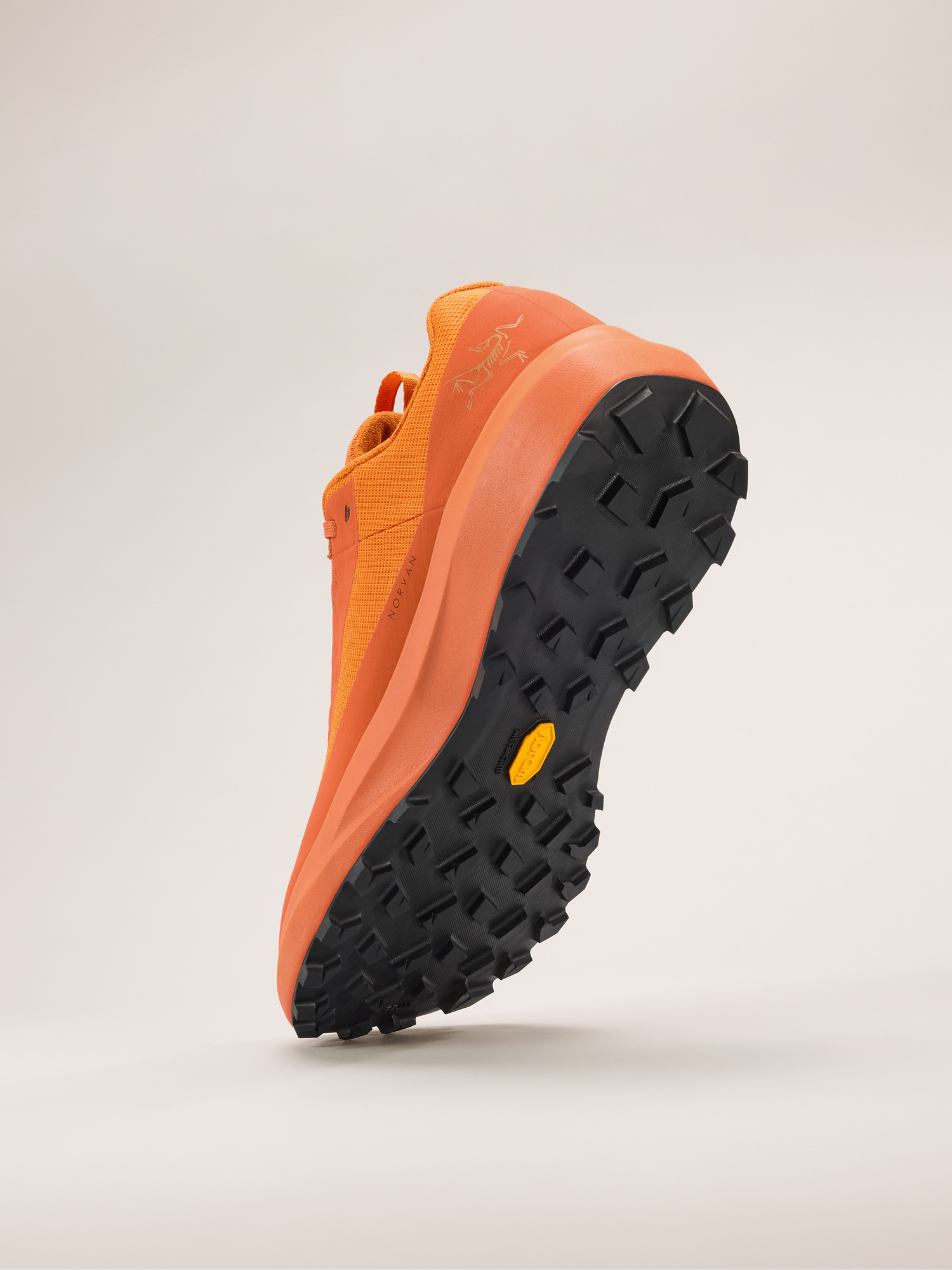 Norvan LD 4 GTX Shoe - 4