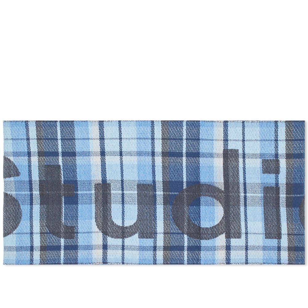 Acne Studios Victoria Check Logo Scarf - 1