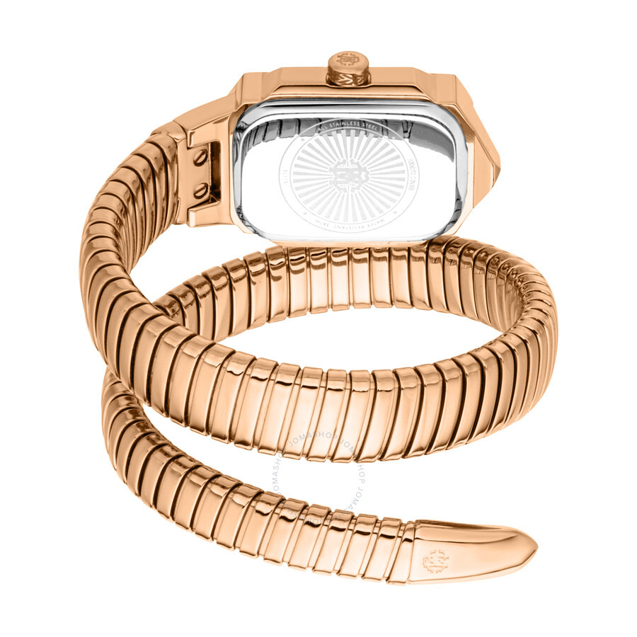 Roberto Cavalli Vera Green Dial Ladies Watch RC5L115M0055 - 2