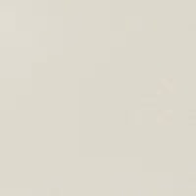 Dalia Baguette in Leather 4