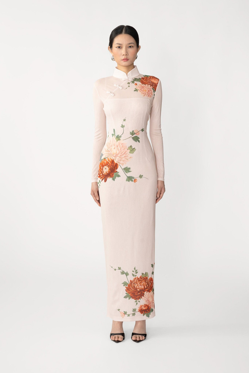 KAIA MESH MAXI DRESS 1
