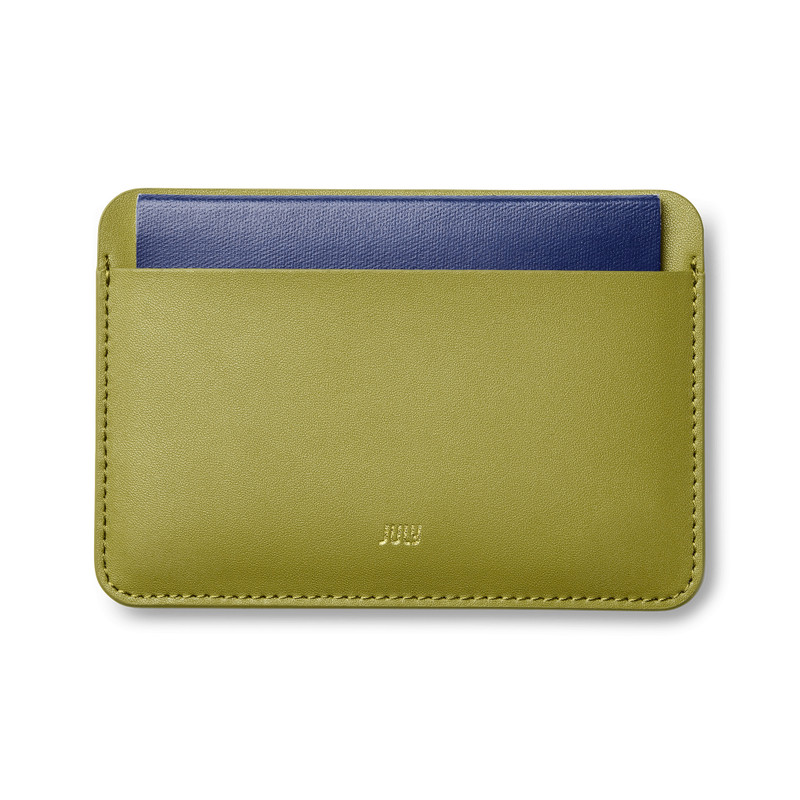Passport Holder 3