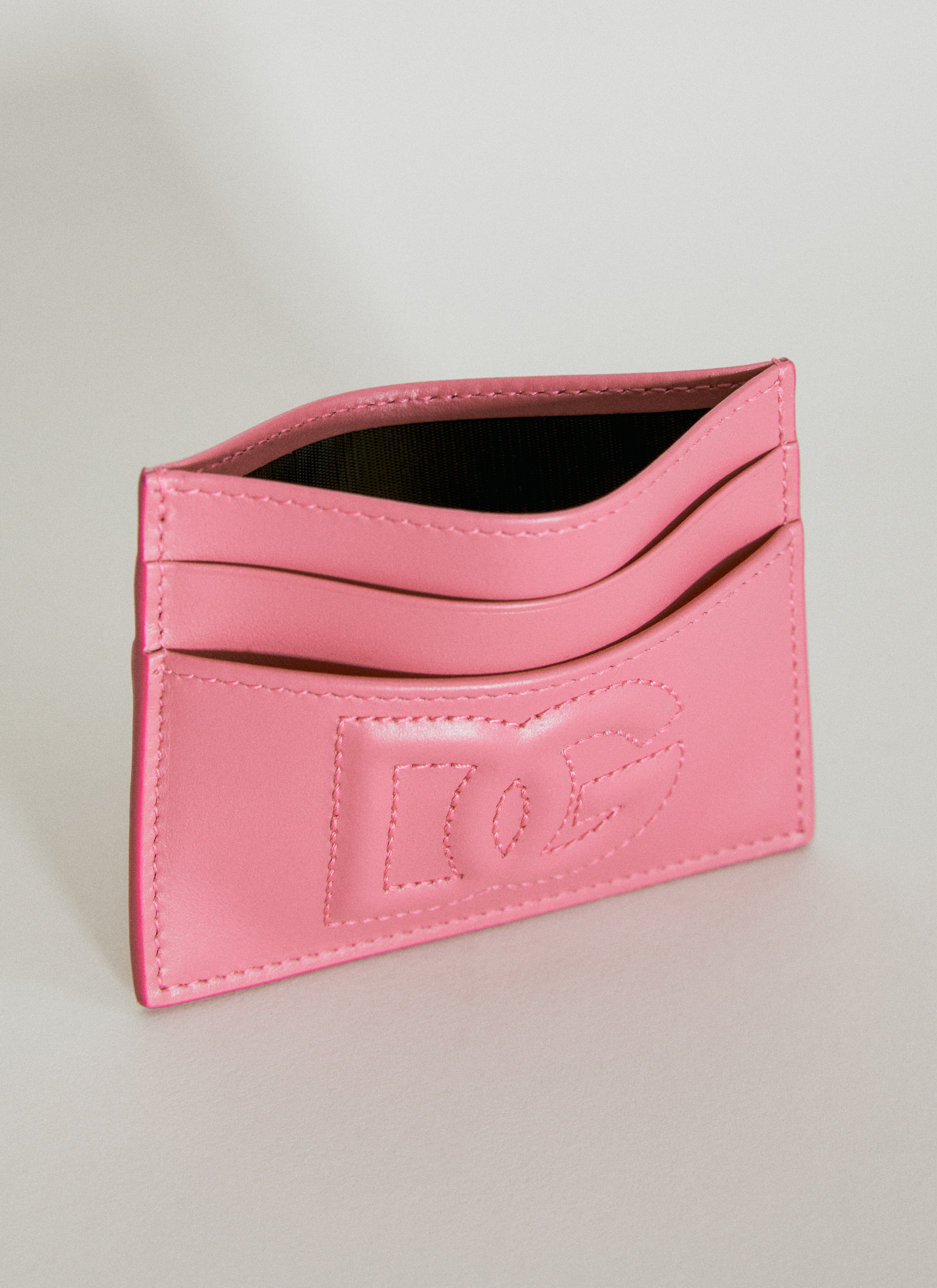 DG Logo Cardholder - 5