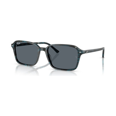 Ray-Ban RB2231 Raimond outlook