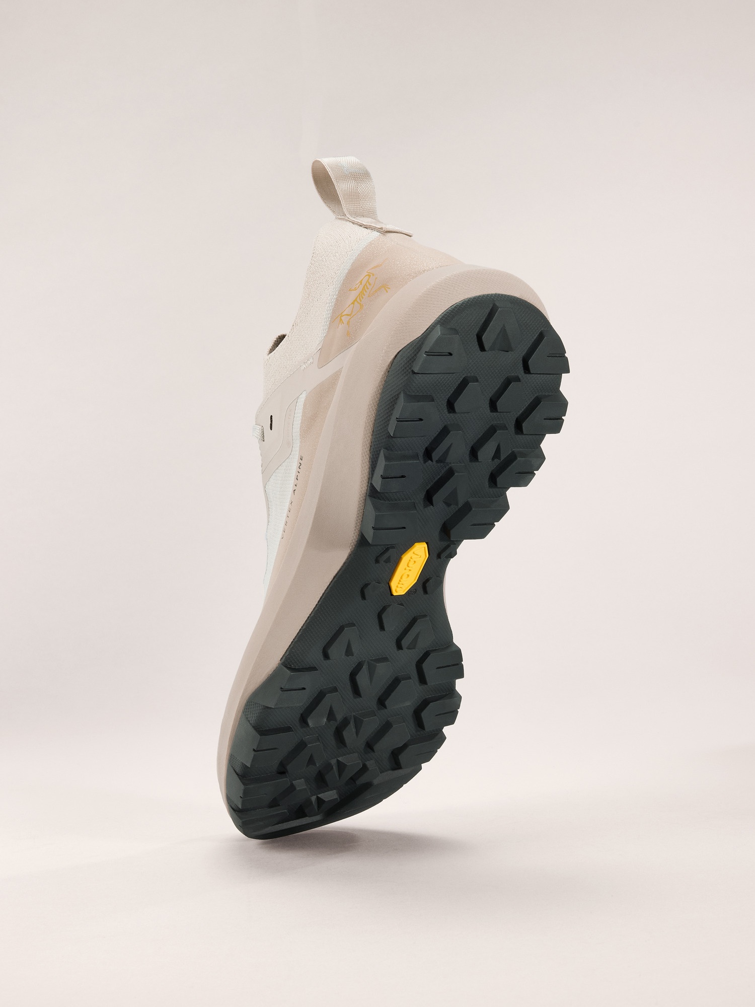 Vertex Alpine GTX Shoe - 4