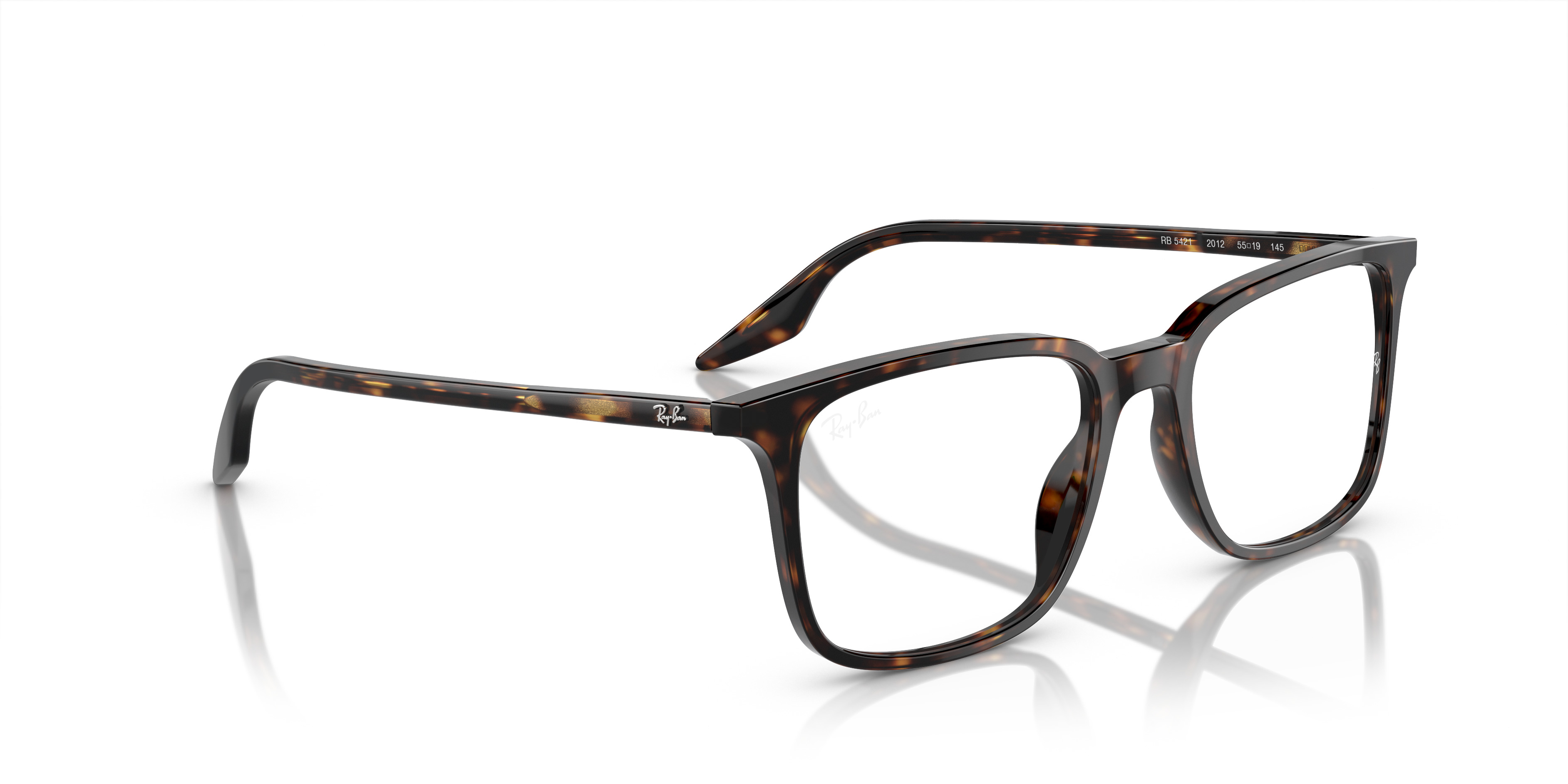RB5421 OPTICS - 7