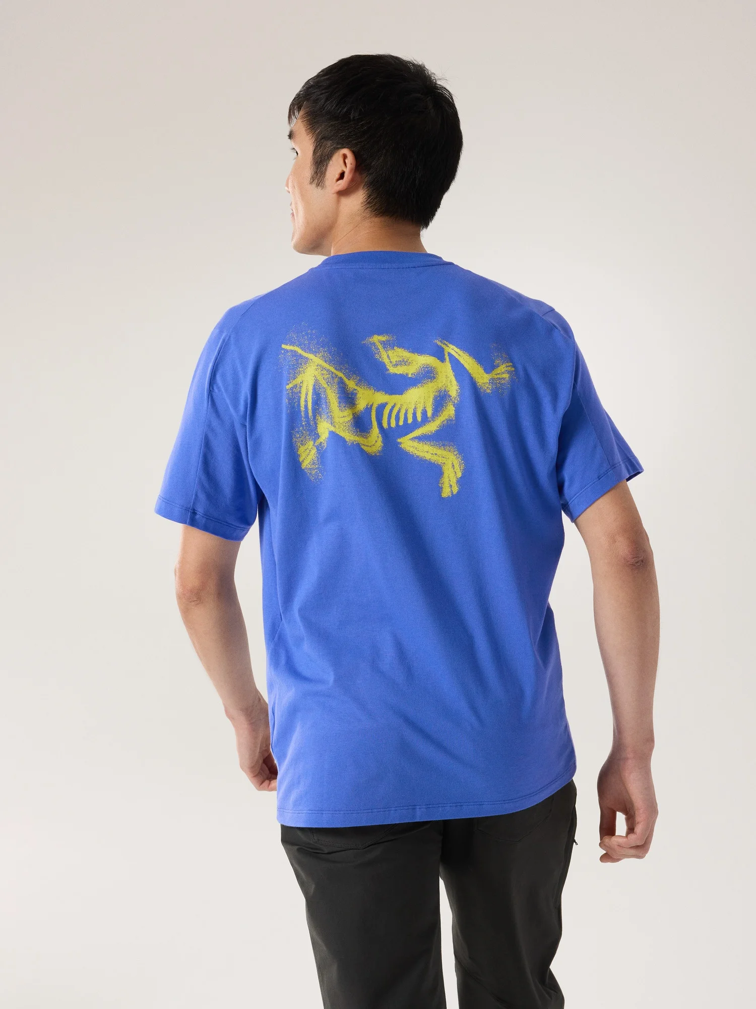 トップス ARC'TERYX Kragg SL Cotton Blurred Bird T Arc'teryx Kragg SL Cotton Blurred Bird Shirt SS | REVERSIBLE