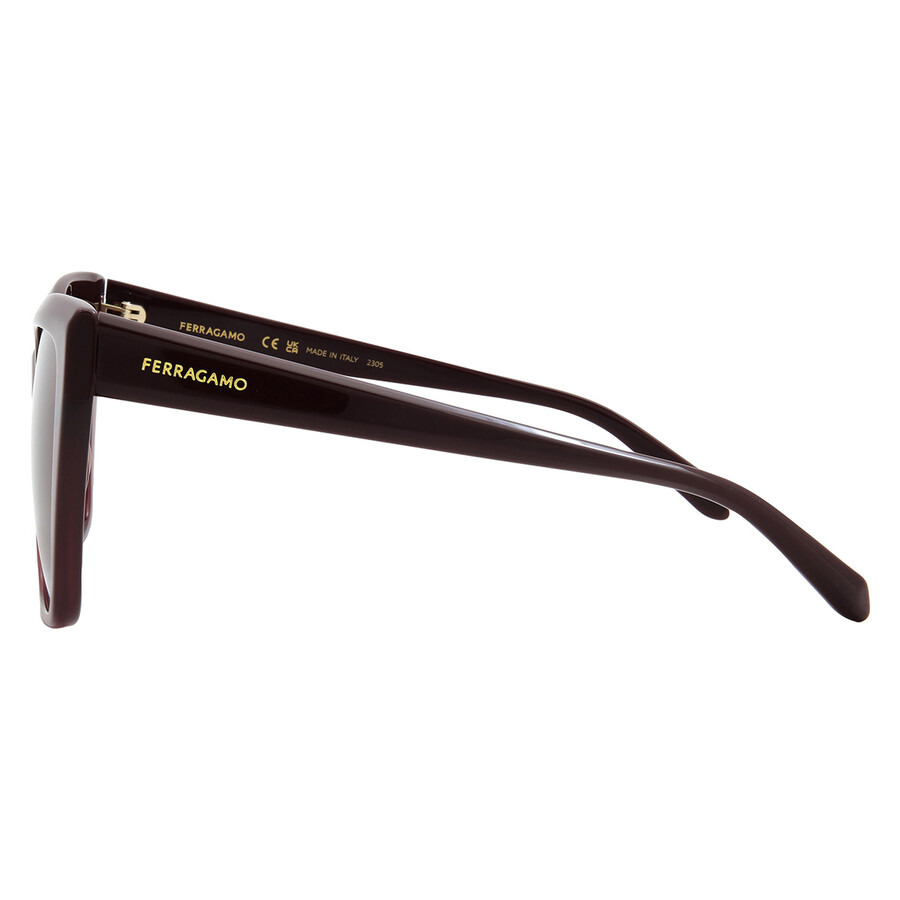 Ferragamo Grey Gradient Cat Eye Ladies Sunglasses SF1102S 606 58 - 3