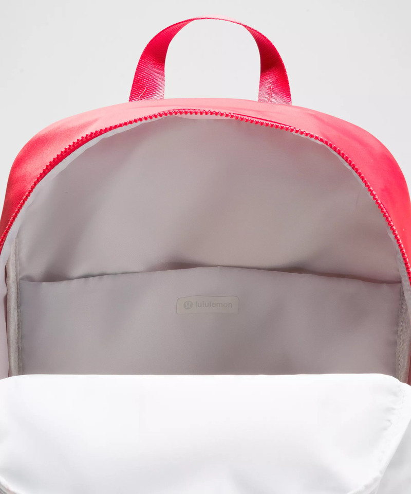 Everywhere Backpack 22L 5